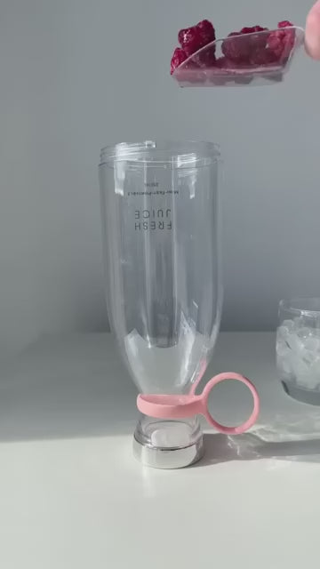 Mini Juicer Blender